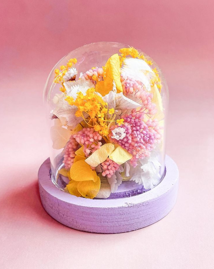 baby cloche fleurs séchées